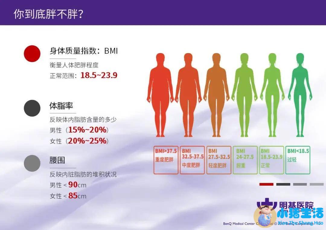 运动饮食减肥计划