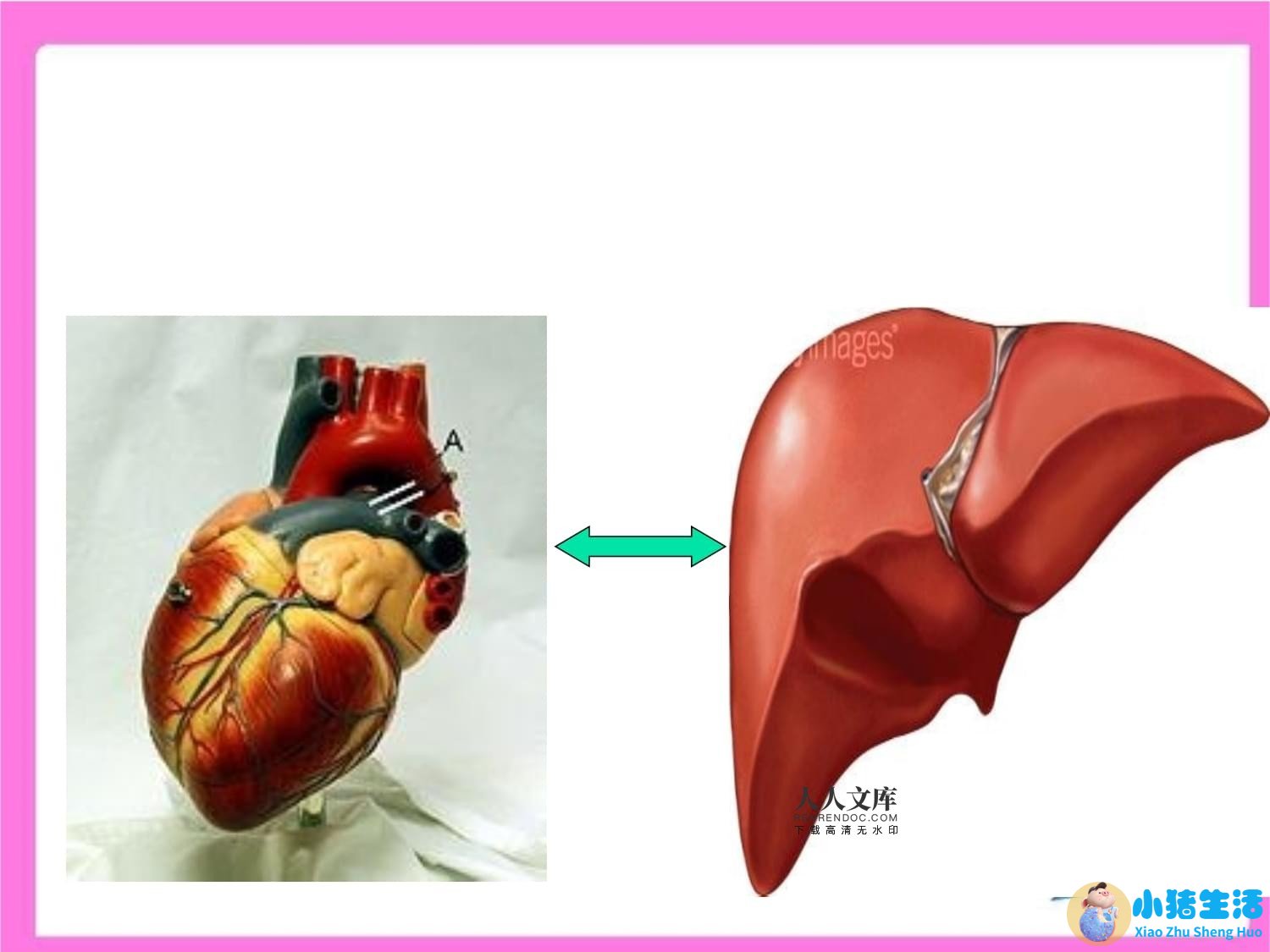 新闻医学前沿