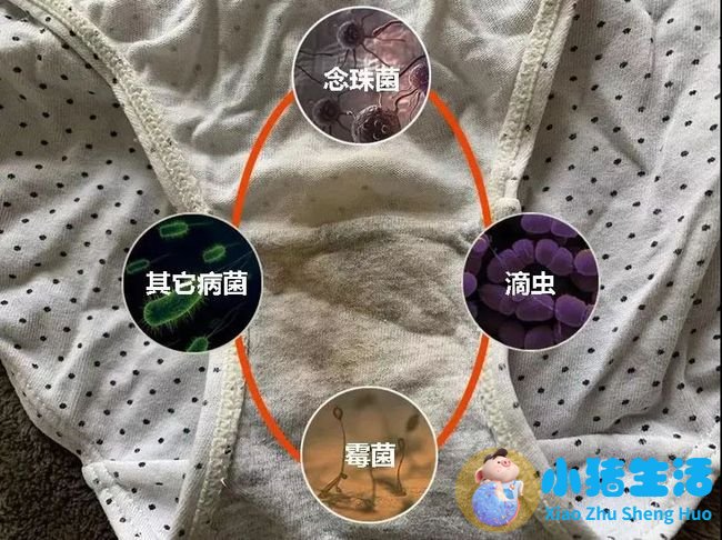 时尚女人图片大全
