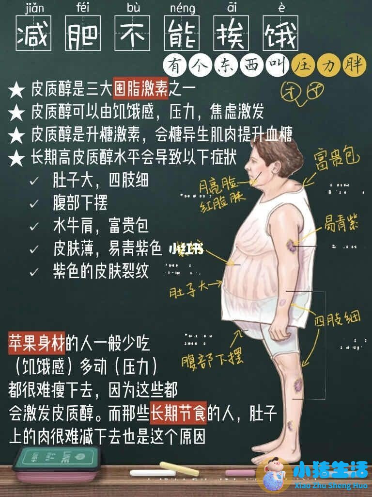 荷尔蒙饮食减肥如何减