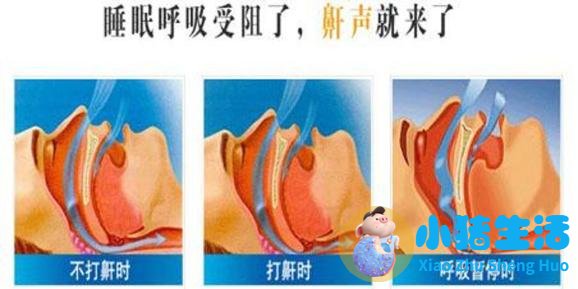 生活百科减肥小窍门
