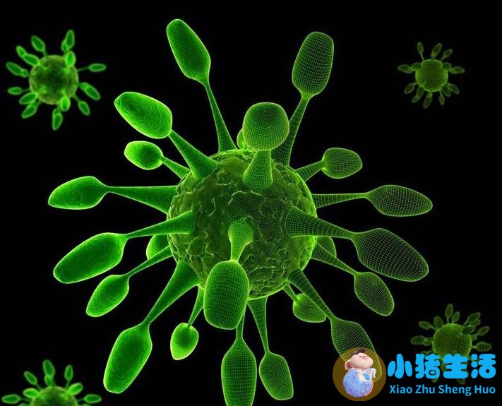 生活百科广播稿150字