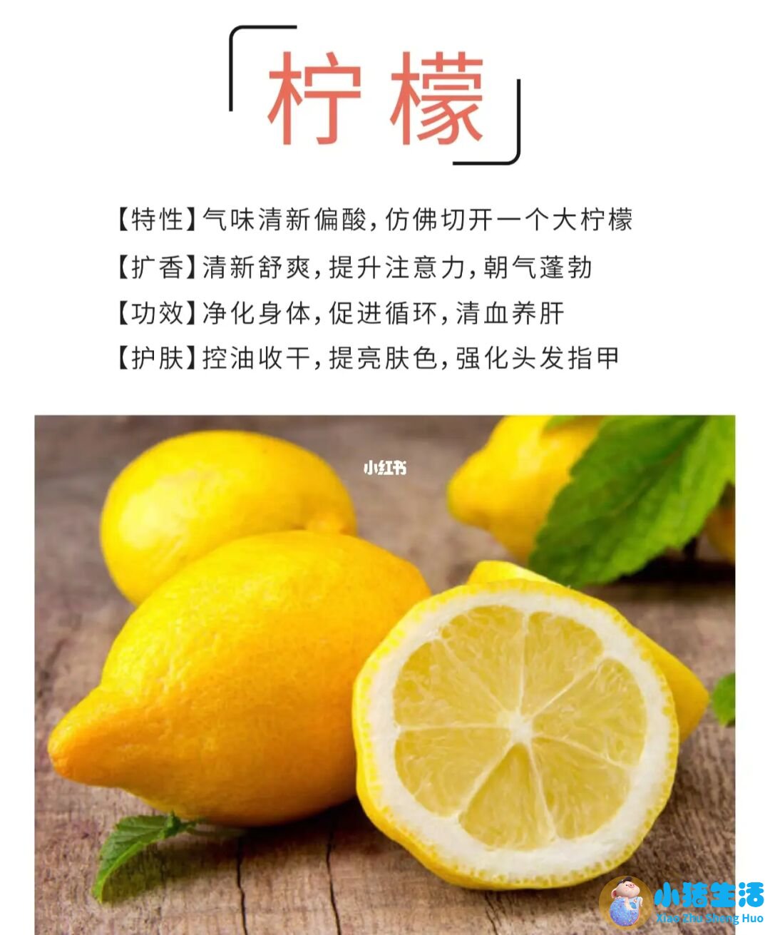 女性养生健康生活习惯