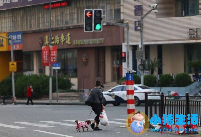 对话上海“电话亭女士”：我这个人活得