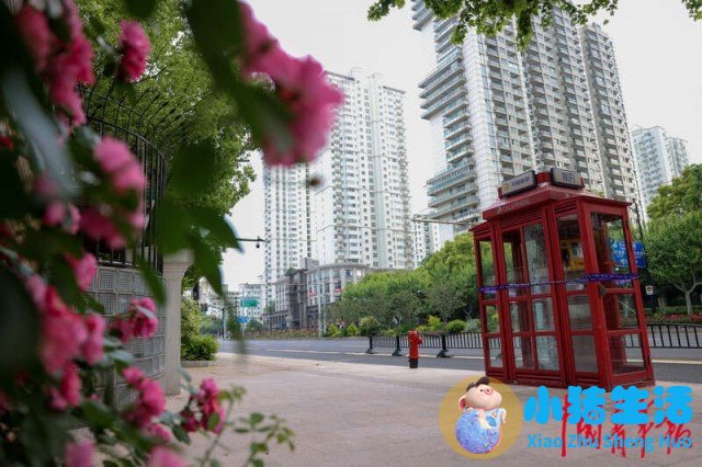 上海南市区是下只角吗