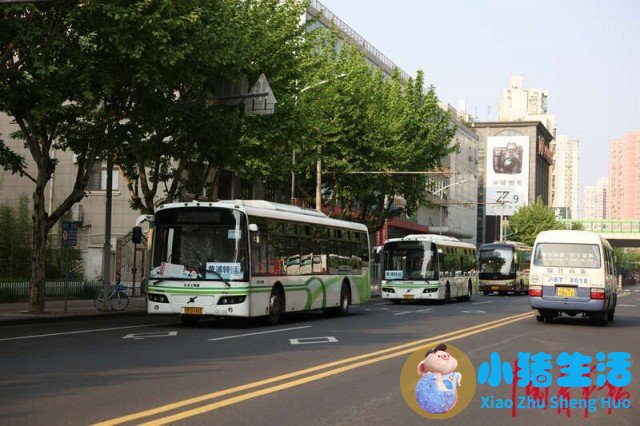 上海南市区是下只角吗