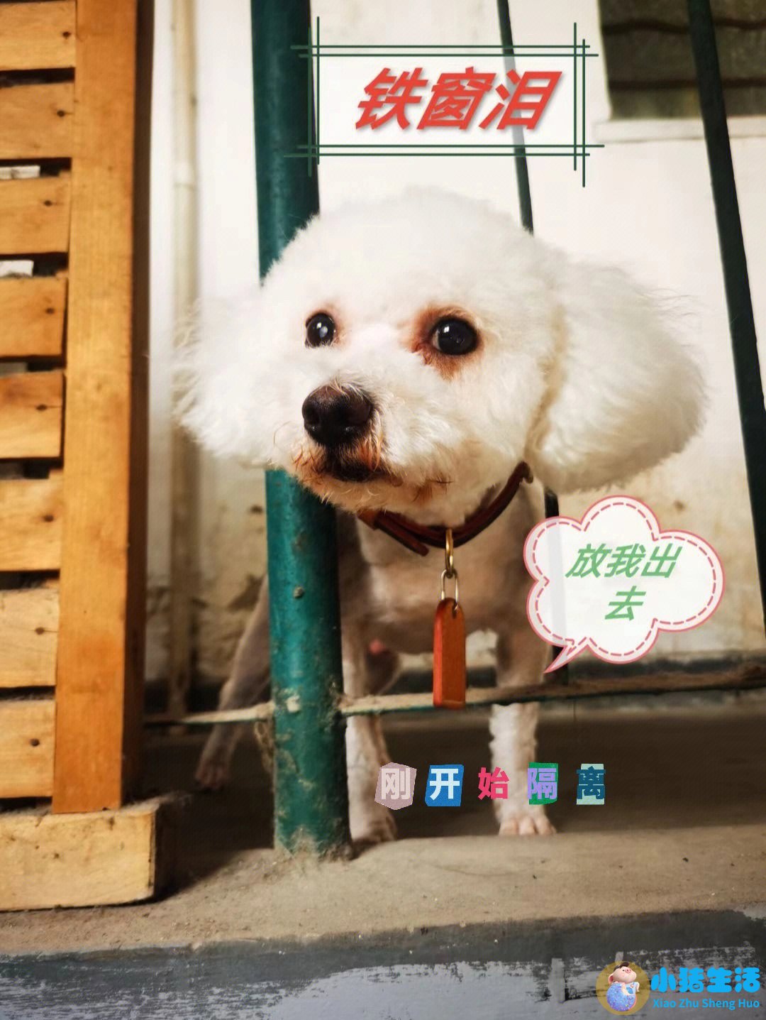 上海南市区是下只角吗