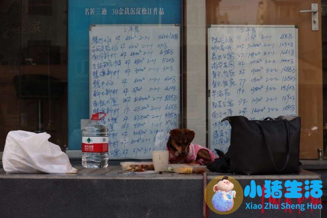 上海南市区是下只角吗