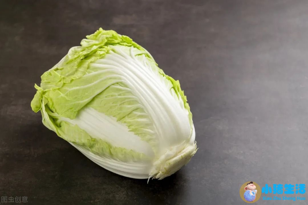 饮食减肥法则