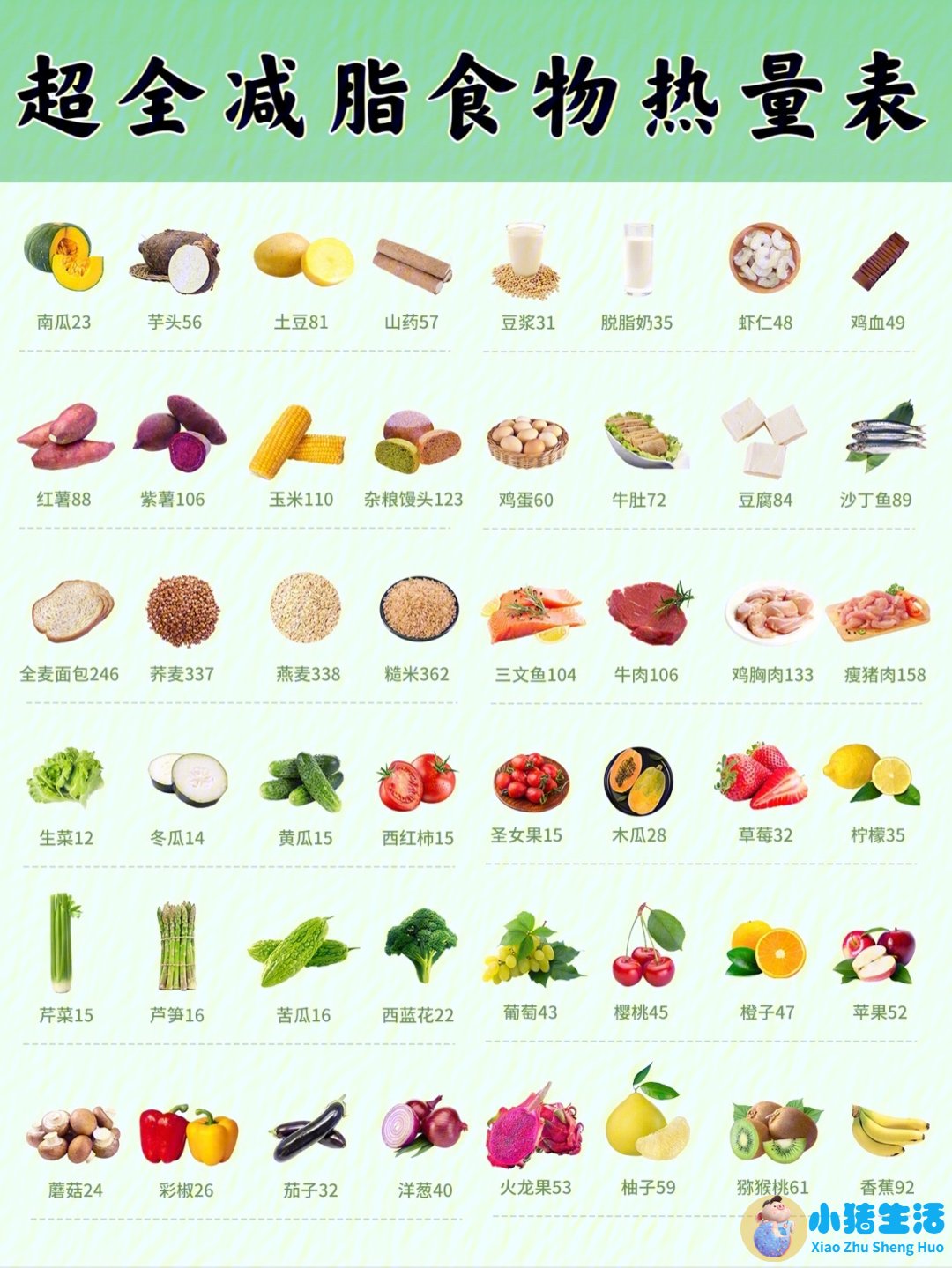 饮食减肥法则