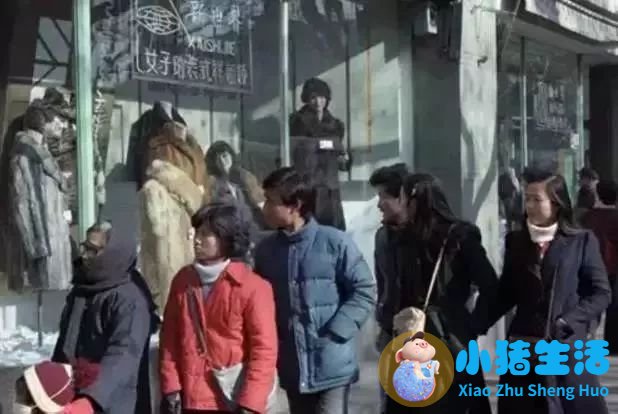 上海南市区是下只角吗
