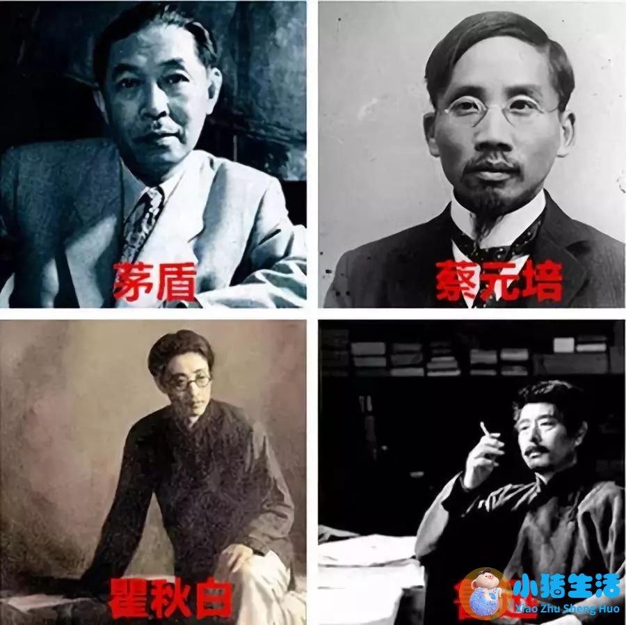 上海南市区是下只角吗