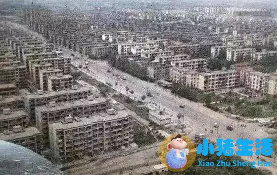 上海南市区是下只角吗