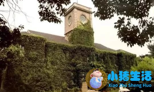 上海南市区是下只角吗