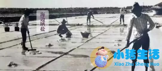 上海南市区是下只角吗