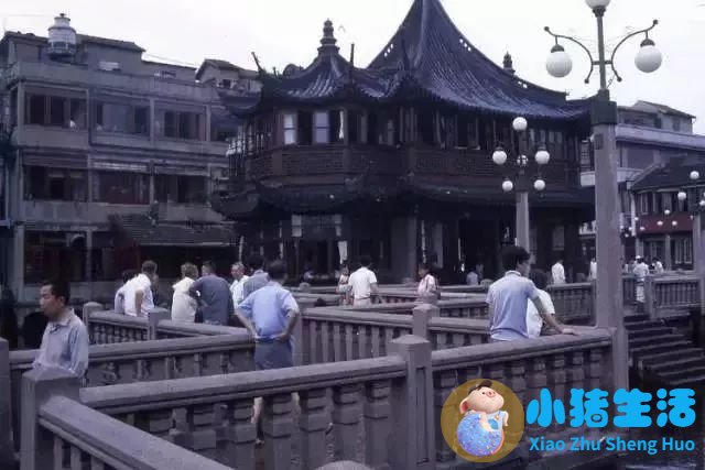 上海南市区是下只角吗