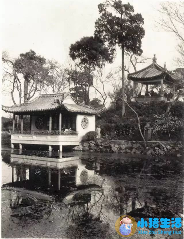 上海南市区是下只角吗