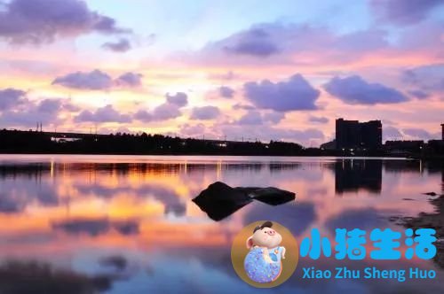 上海南市区是下只角吗