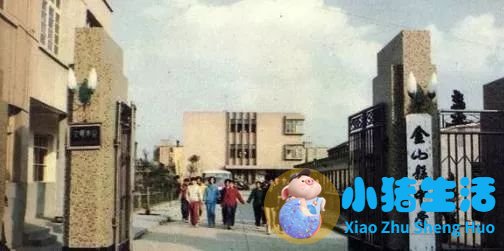 上海南市区是下只角吗