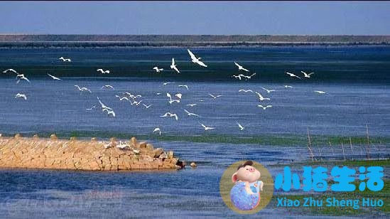上海南市区是下只角吗