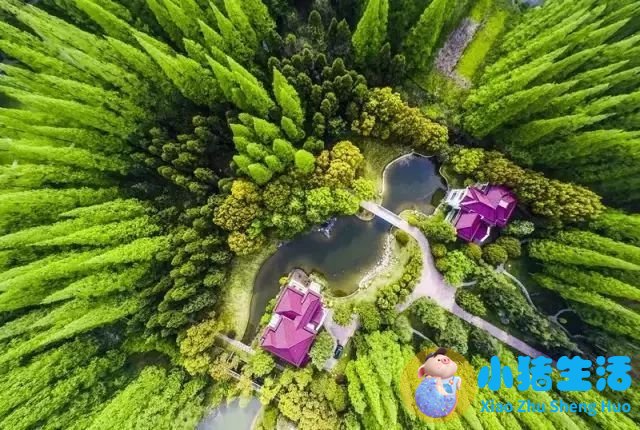 上海南市区是下只角吗