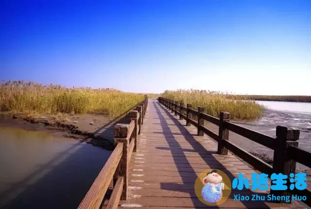 上海南市区是下只角吗