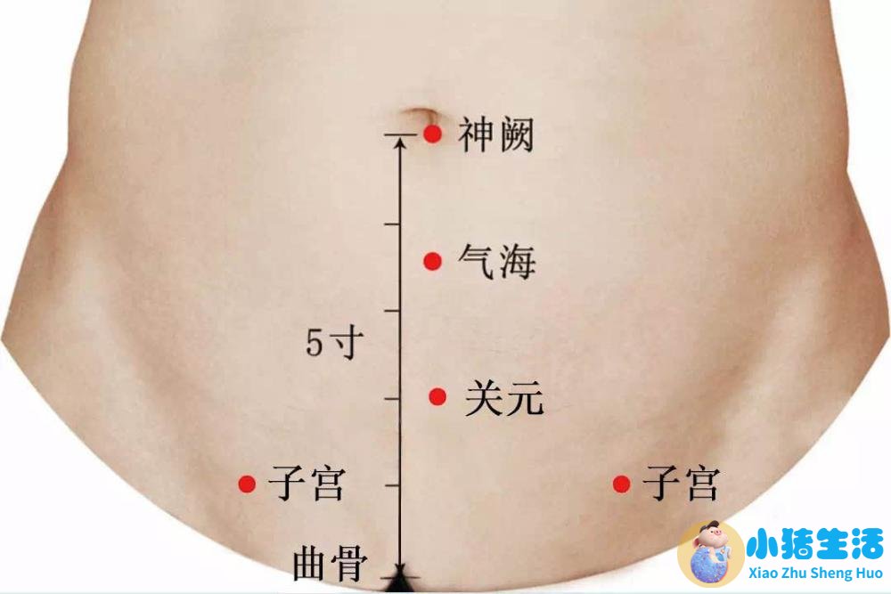 艾灸养生知识