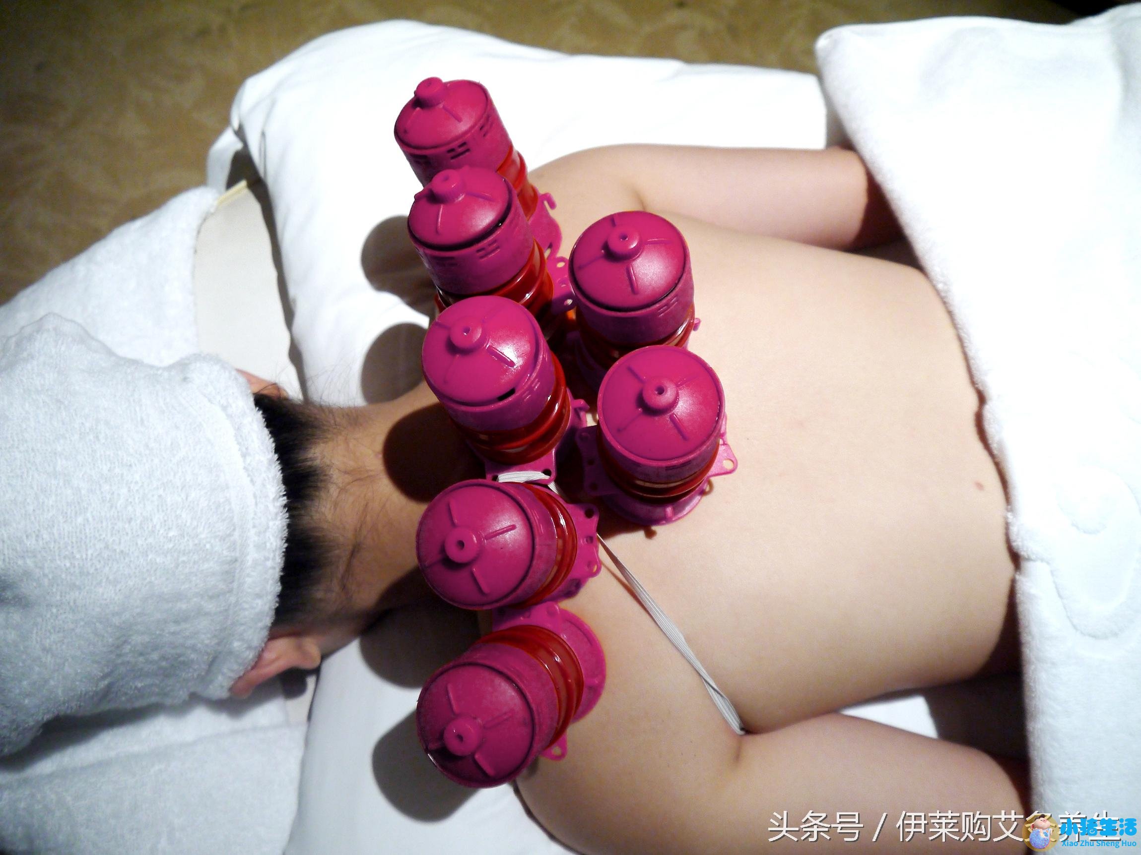 艾灸养生知识