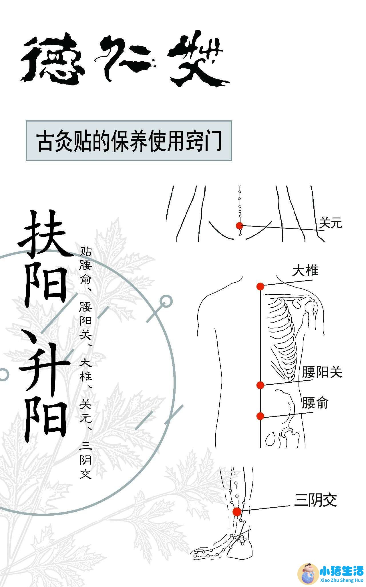 艾灸养生知识