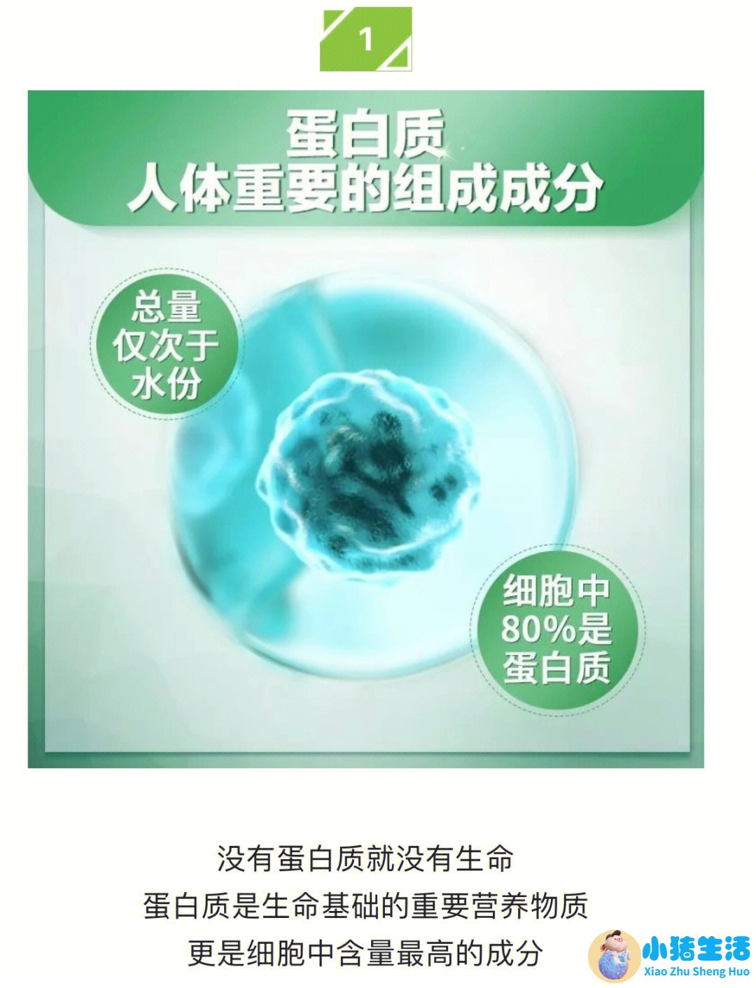 春季养生知识