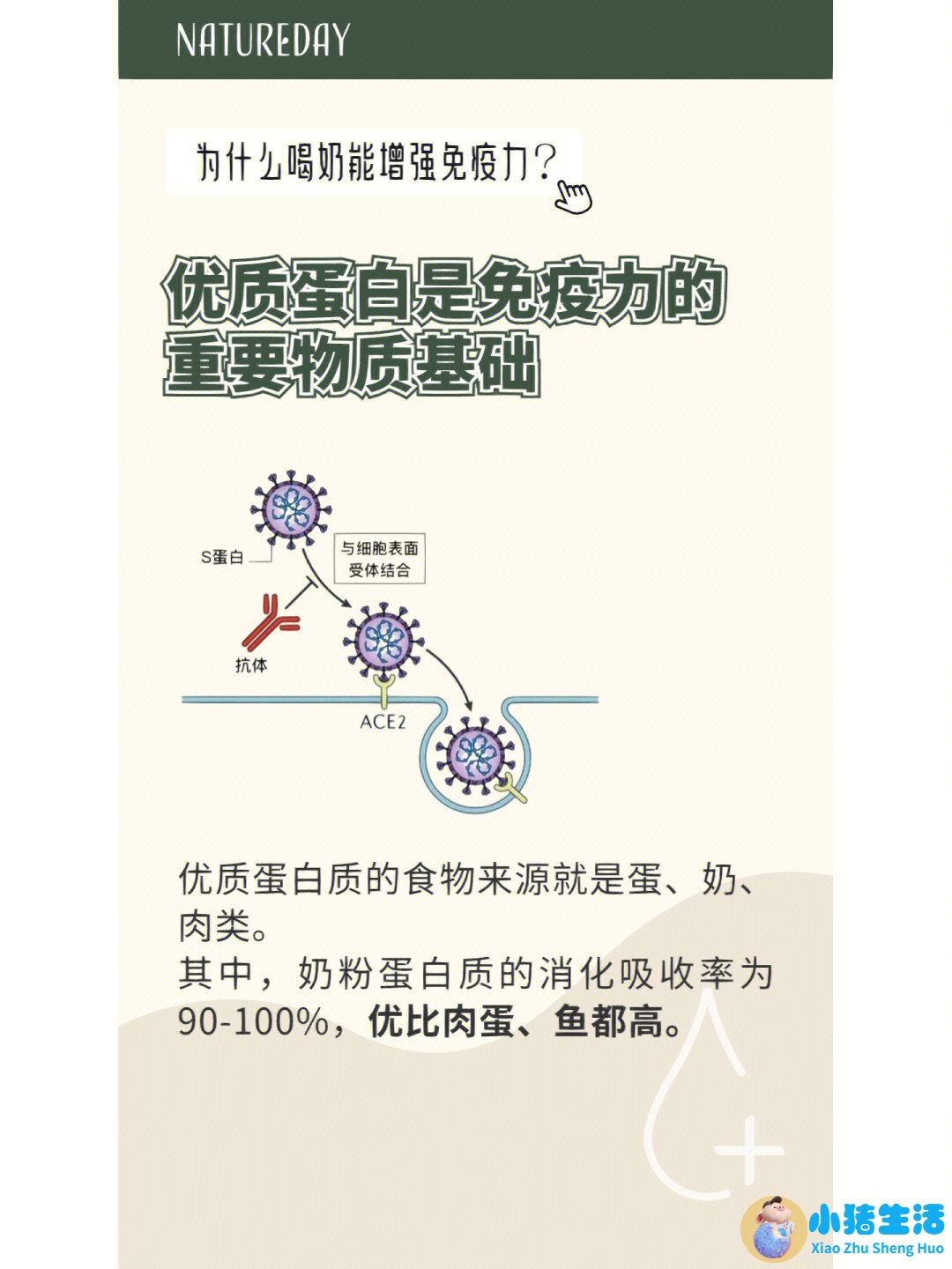 春季养生知识