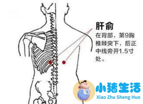 艾灸养生知识