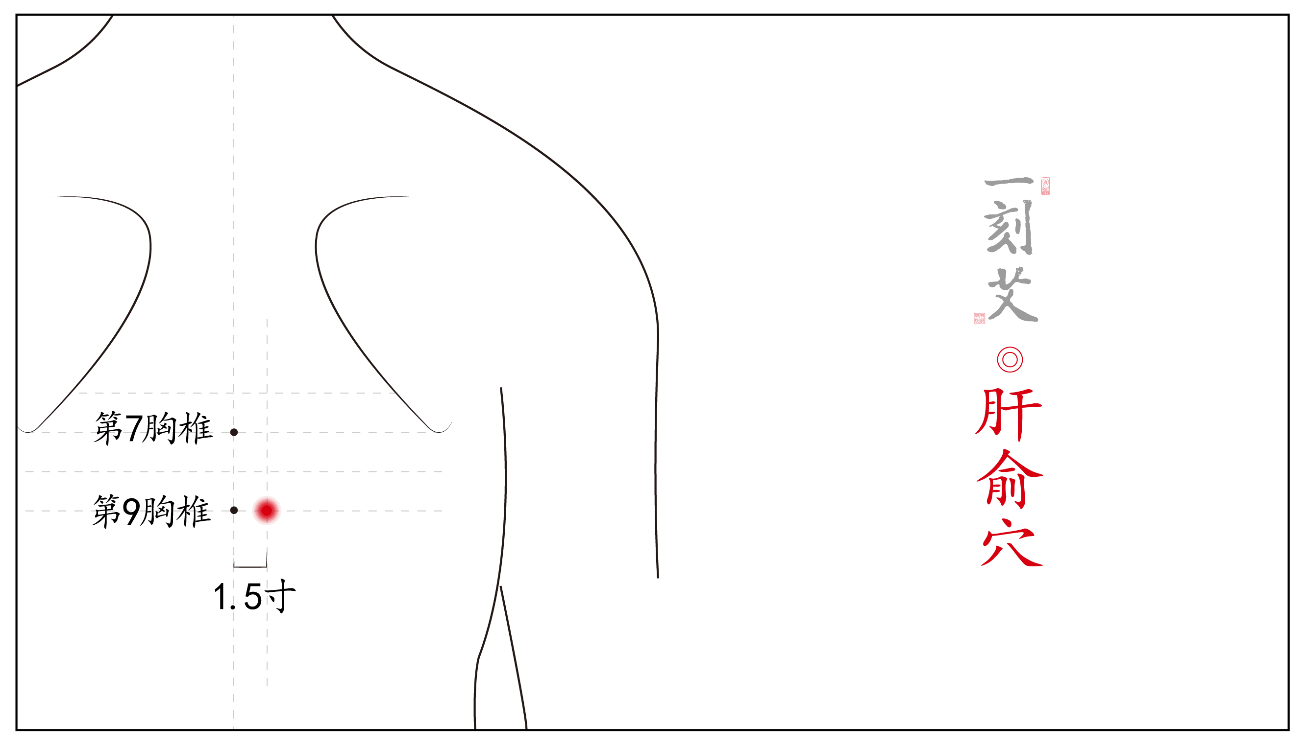 艾灸养生知识