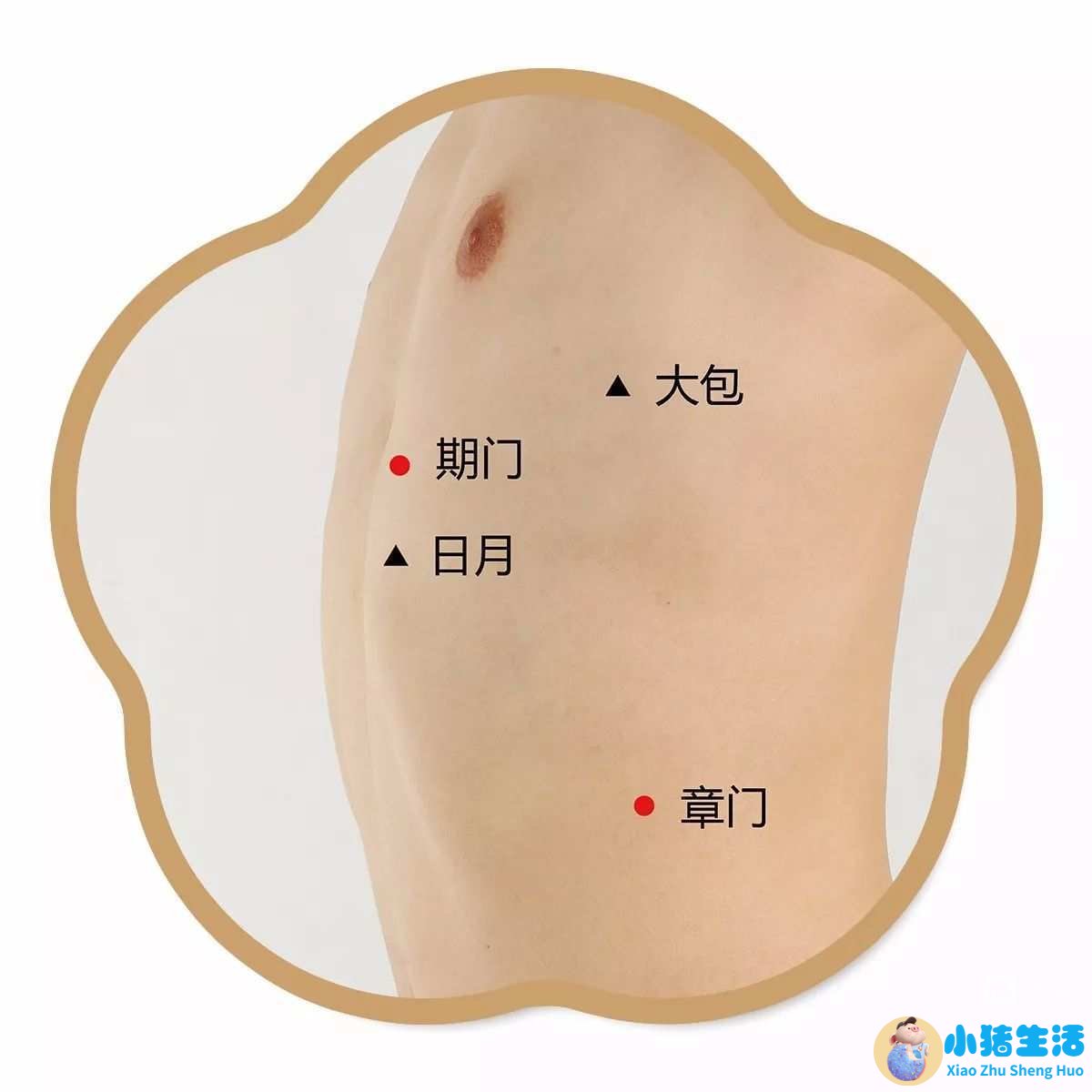 艾灸养生知识