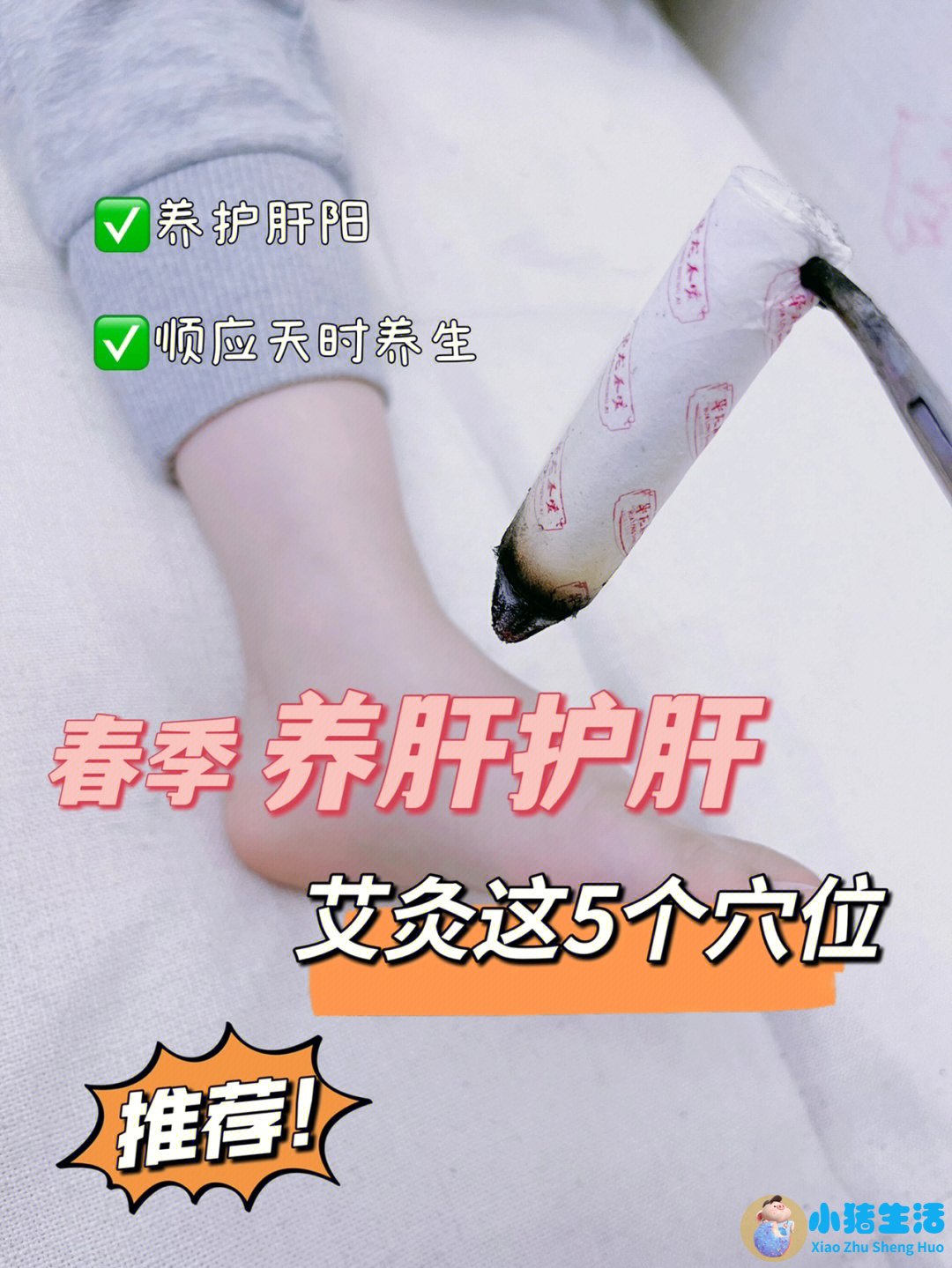 艾灸养生知识