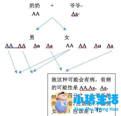 「生活便利贴」春季如何养生保健