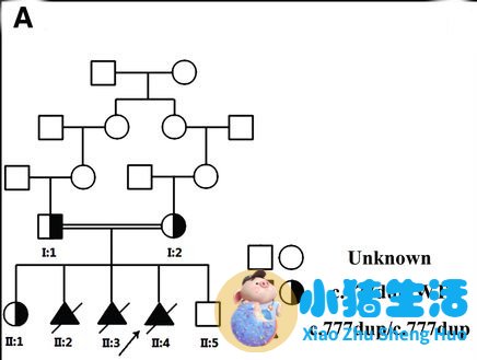 春季养生知识