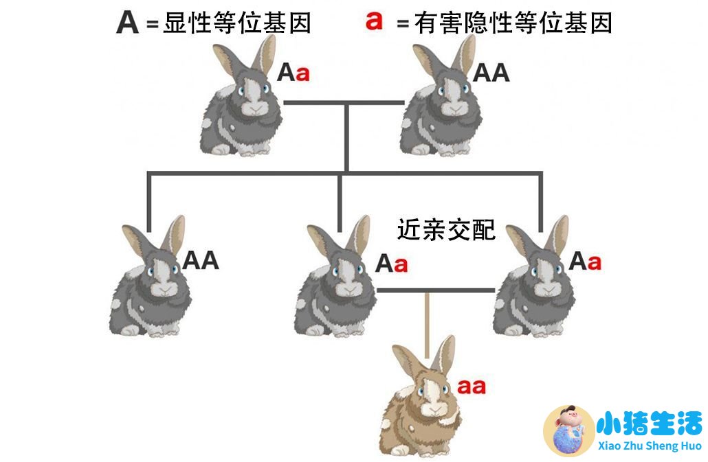 春季养生知识