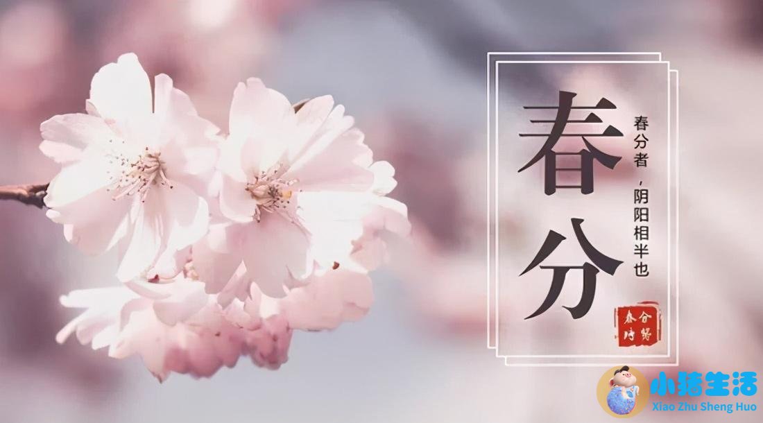浅谈春分之艾灸养生