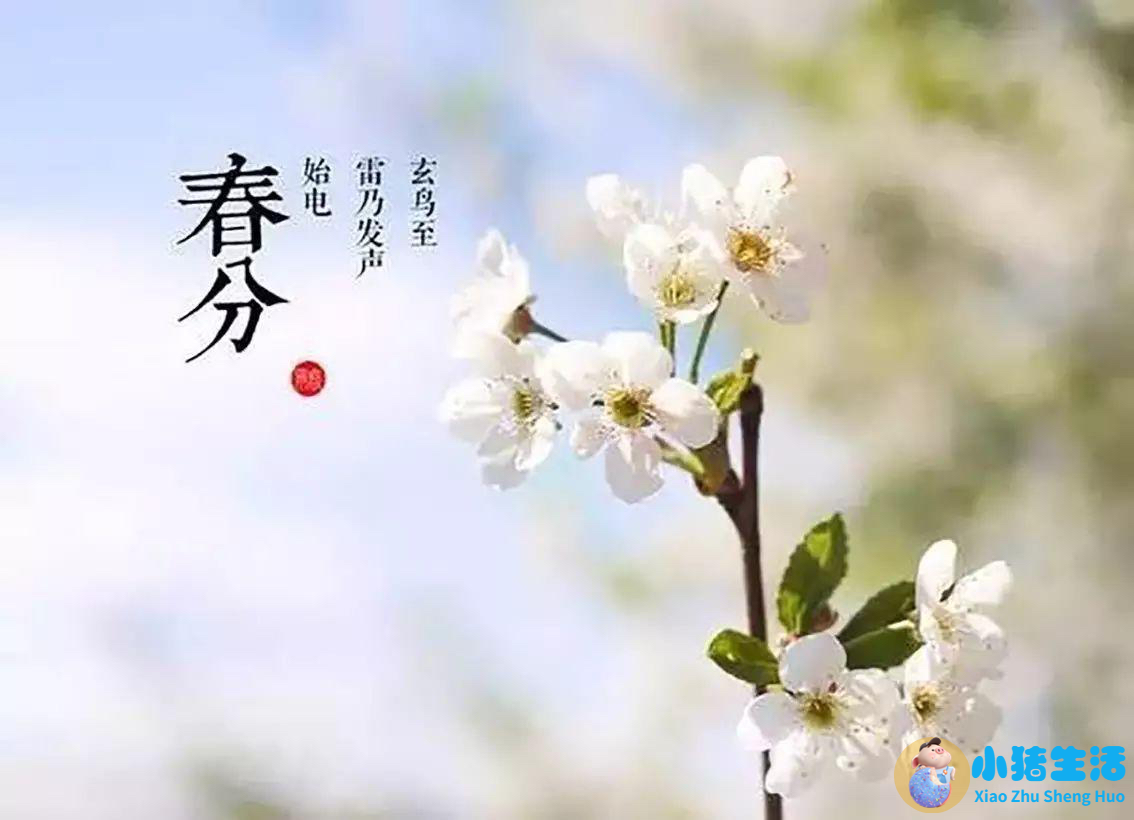 艾灸养生知识
