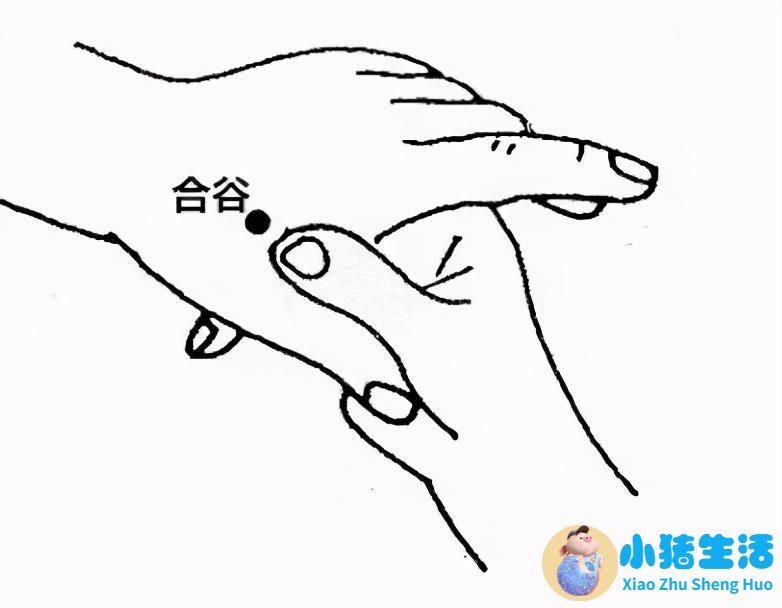 艾灸养生知识