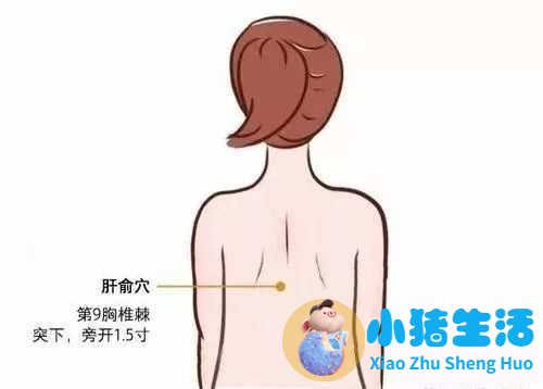 艾灸养生知识