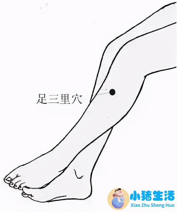 艾灸养生知识