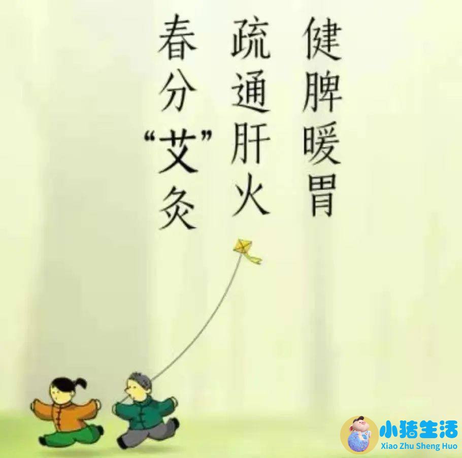艾灸养生知识