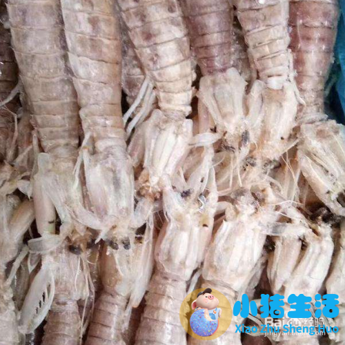 皮皮虾可以放冰箱吗？皮皮虾能放冰箱保