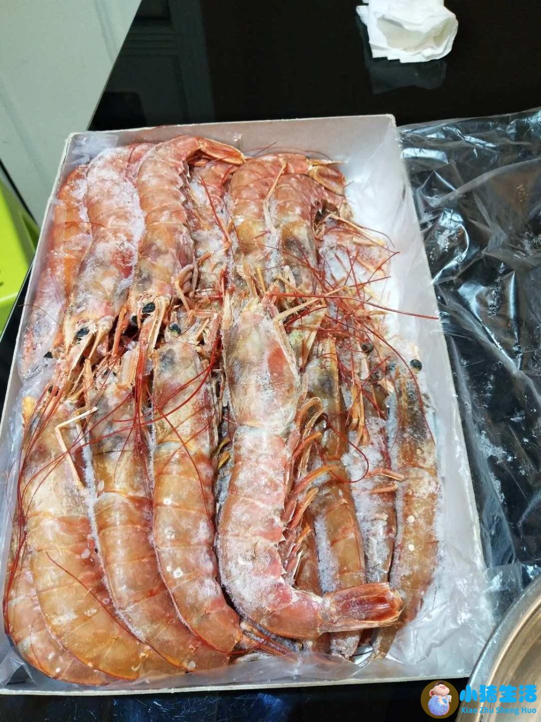 皮皮虾可以冷冻保存吗