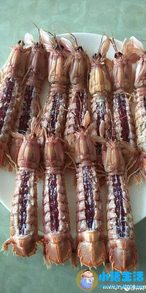 皮皮虾可以冷冻保存吗