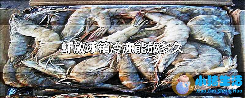 皮皮虾可以冷冻保存吗