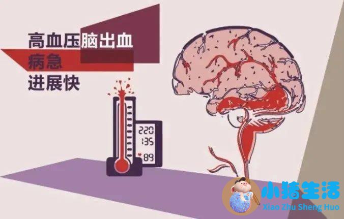飞了36年空姐最后一班飞行哭着告别