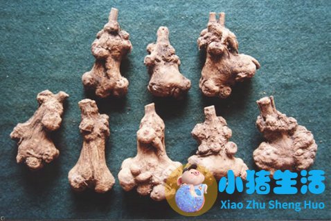 木瓜丁 木瓜的作用 怎么样吃木瓜更丰胸